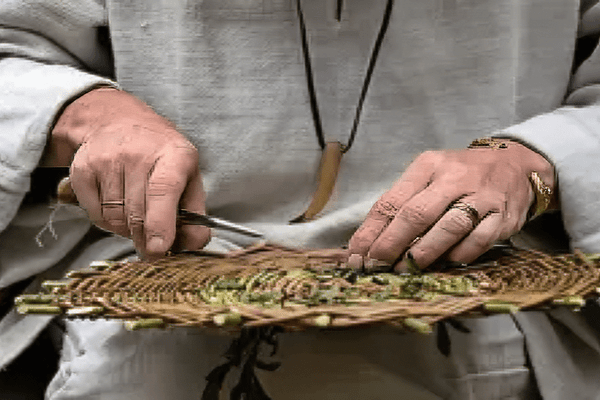 3. Tejido de la Base